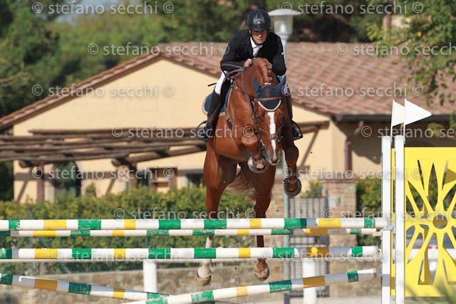 INSELVINI_QUIDORADO_GIO CAV 2011_SS3_6567.jpg